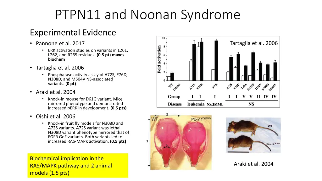 ptpn11 and noonan syndrome 1