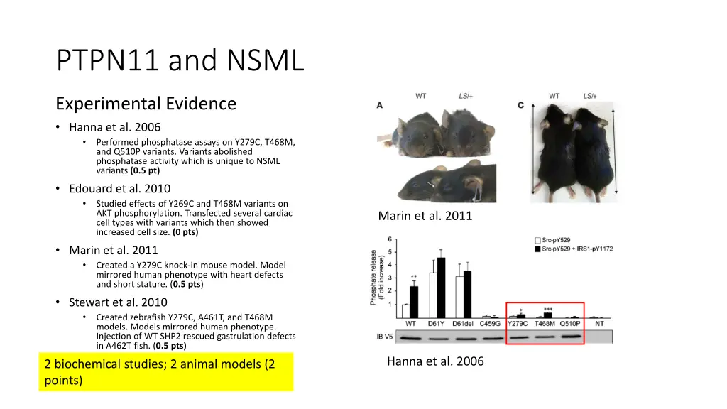 ptpn11 and nsml 1