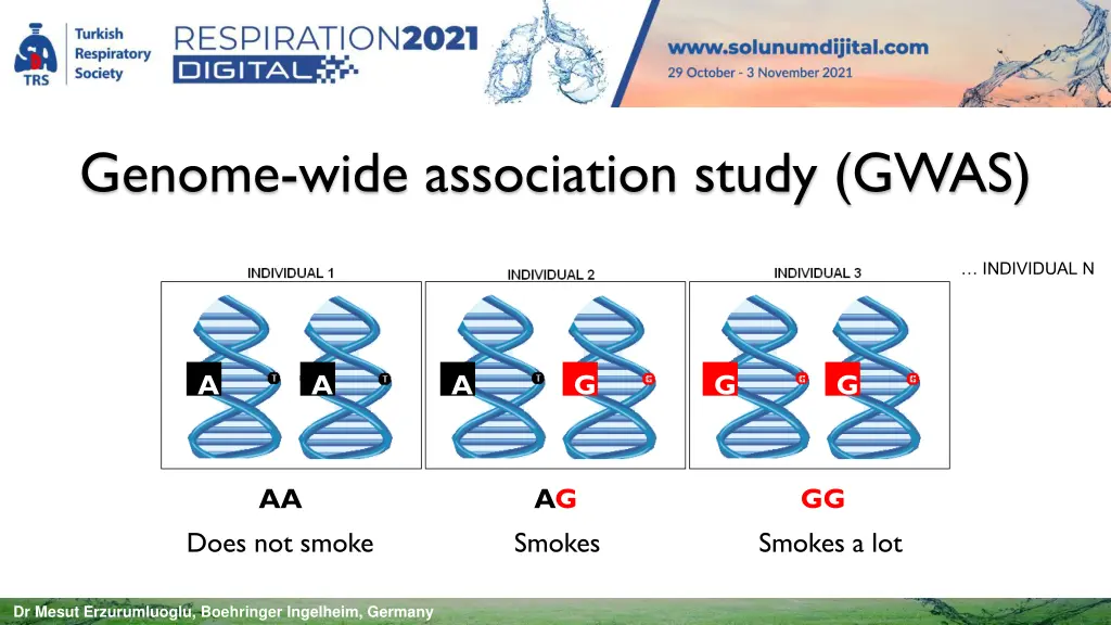 genome wide association study gwas