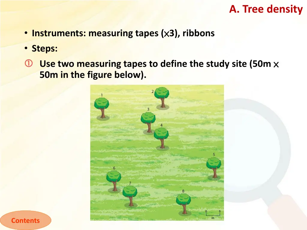 a tree density