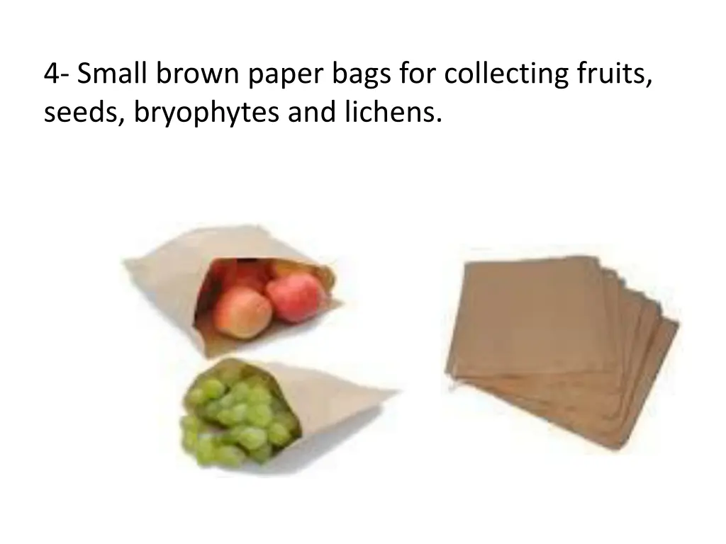 4 small brown paper bags for collecting fruits