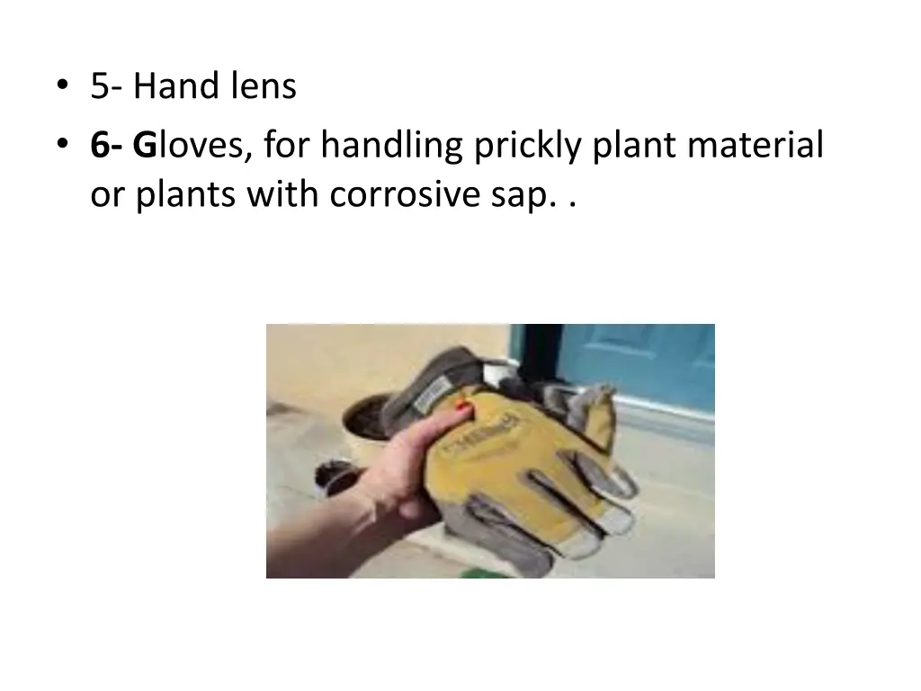 5 hand lens 6 g loves for handling prickly plant