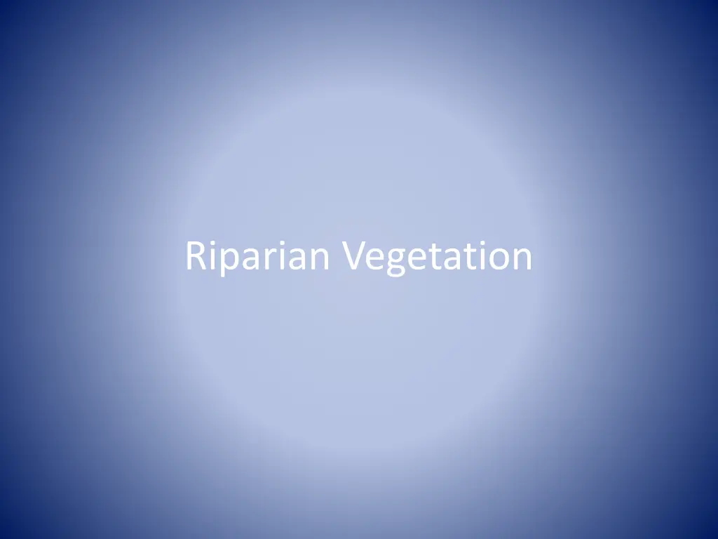 riparian vegetation
