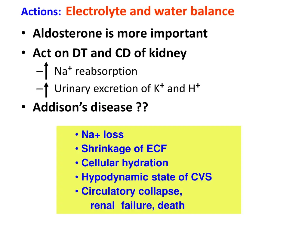 actions electrolyte and water balance aldosterone