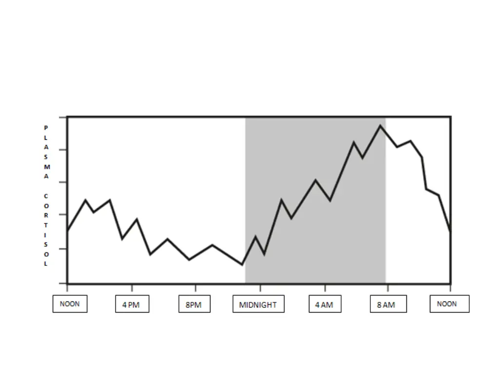 slide7
