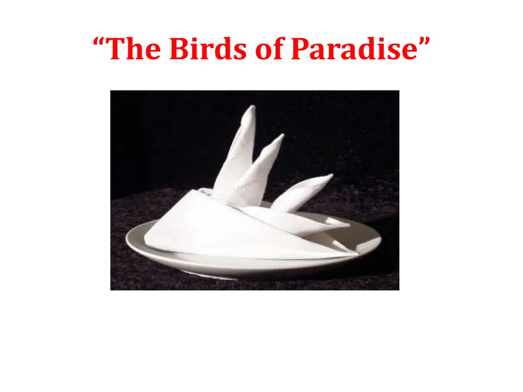 the bi rds of paradise