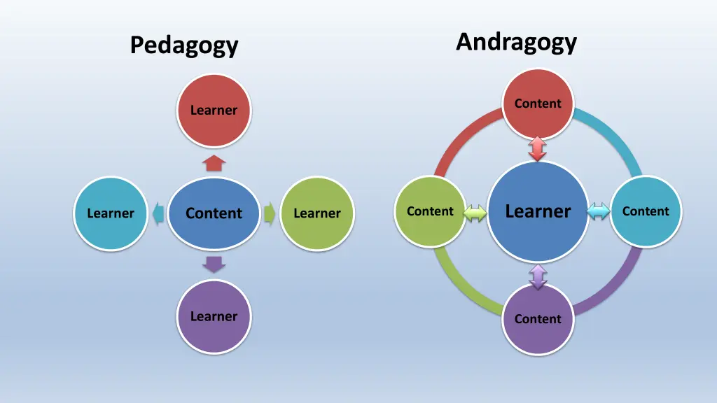 andragogy