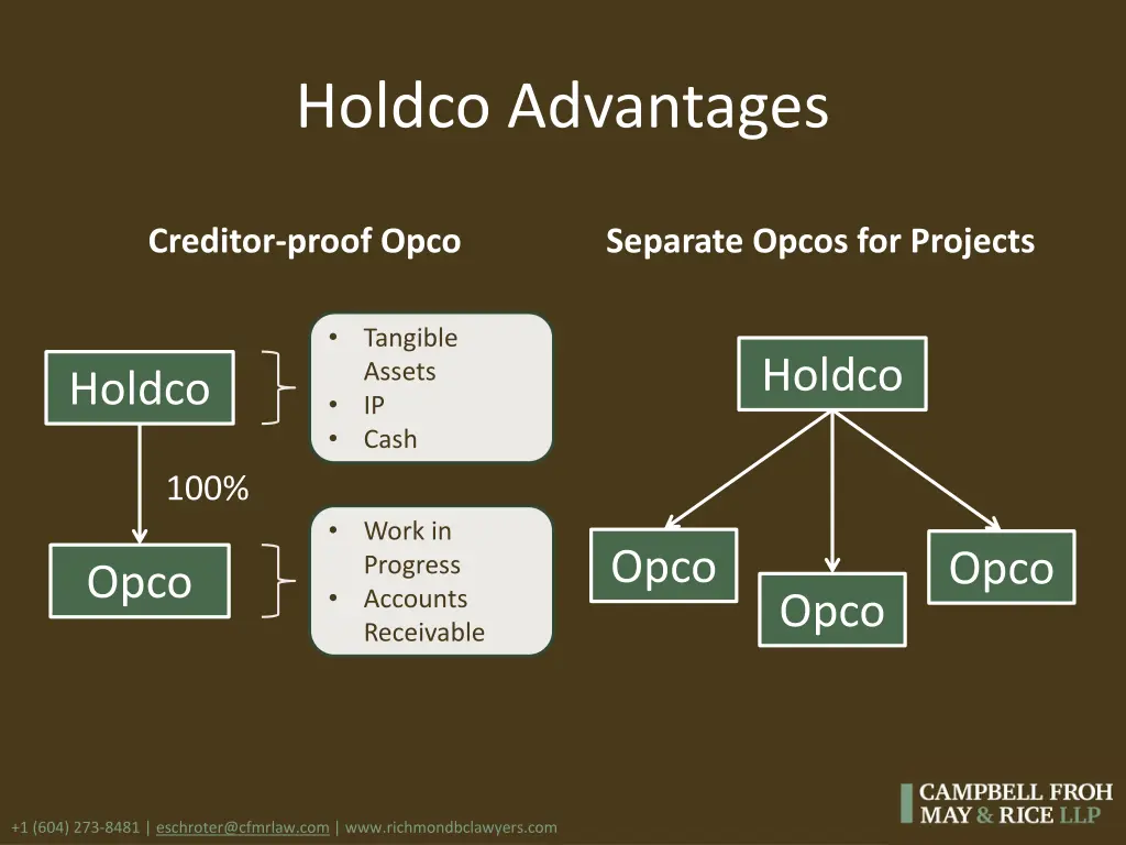 holdco advantages