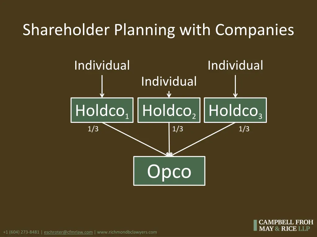 shareholder planning with companies