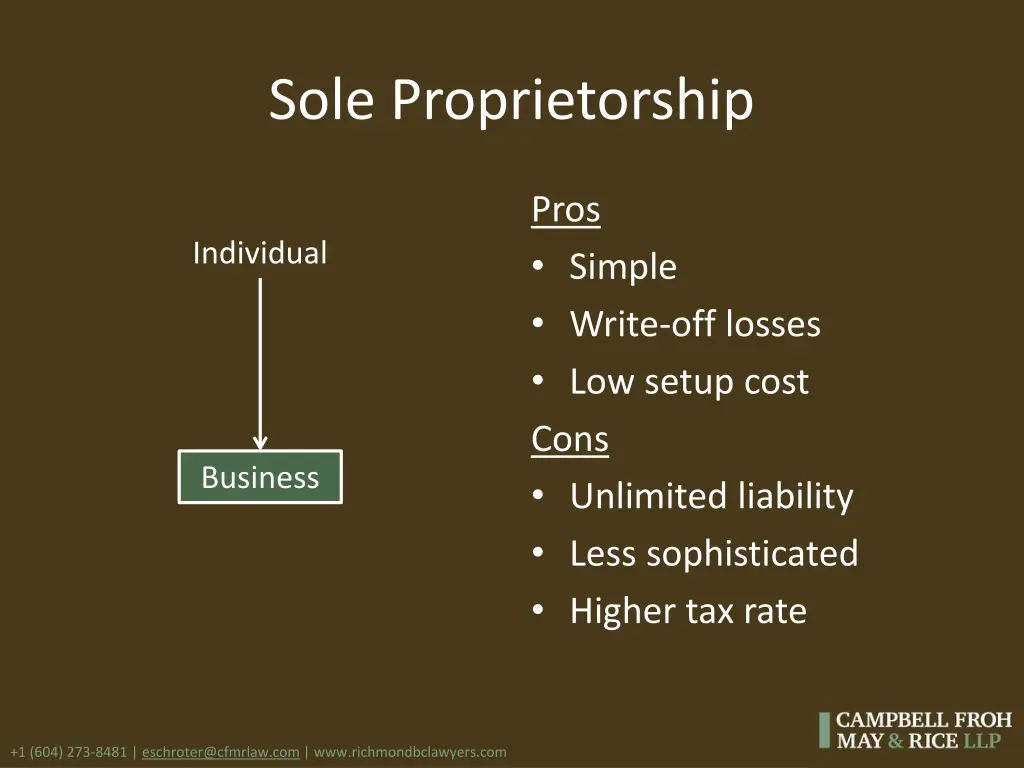 sole proprietorship