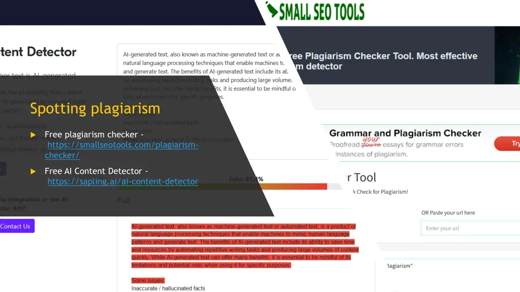 spotting plagiarism 2