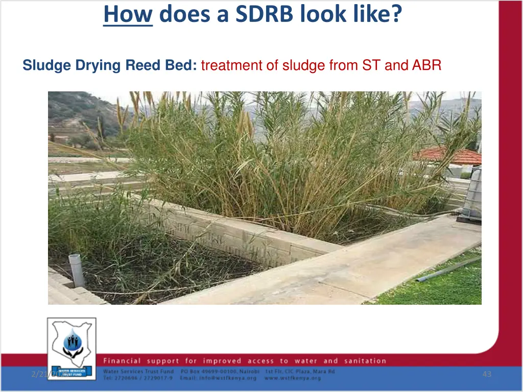 how does a sdrb look like