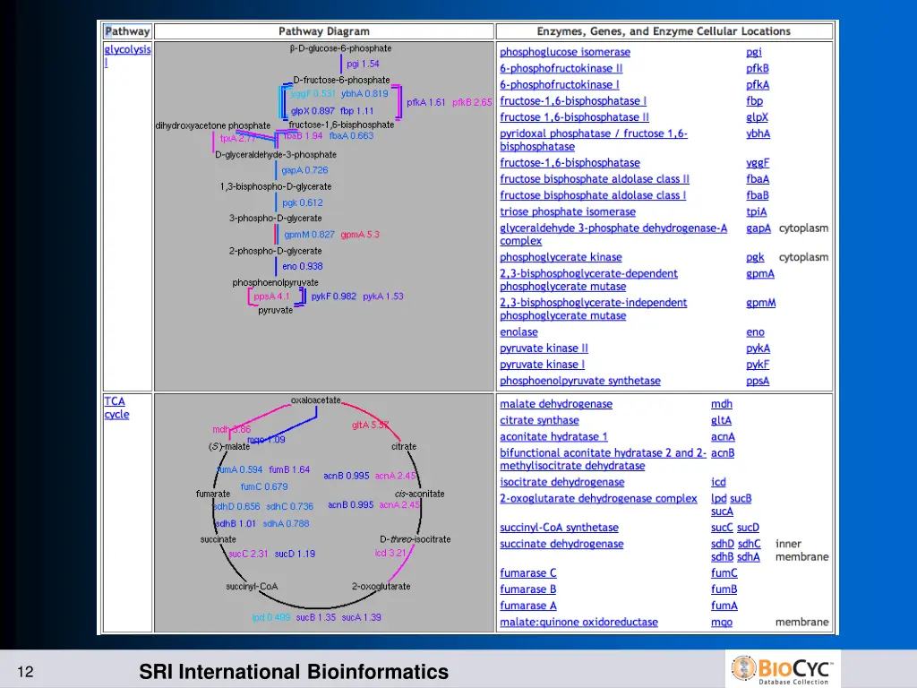 sri international bioinformatics