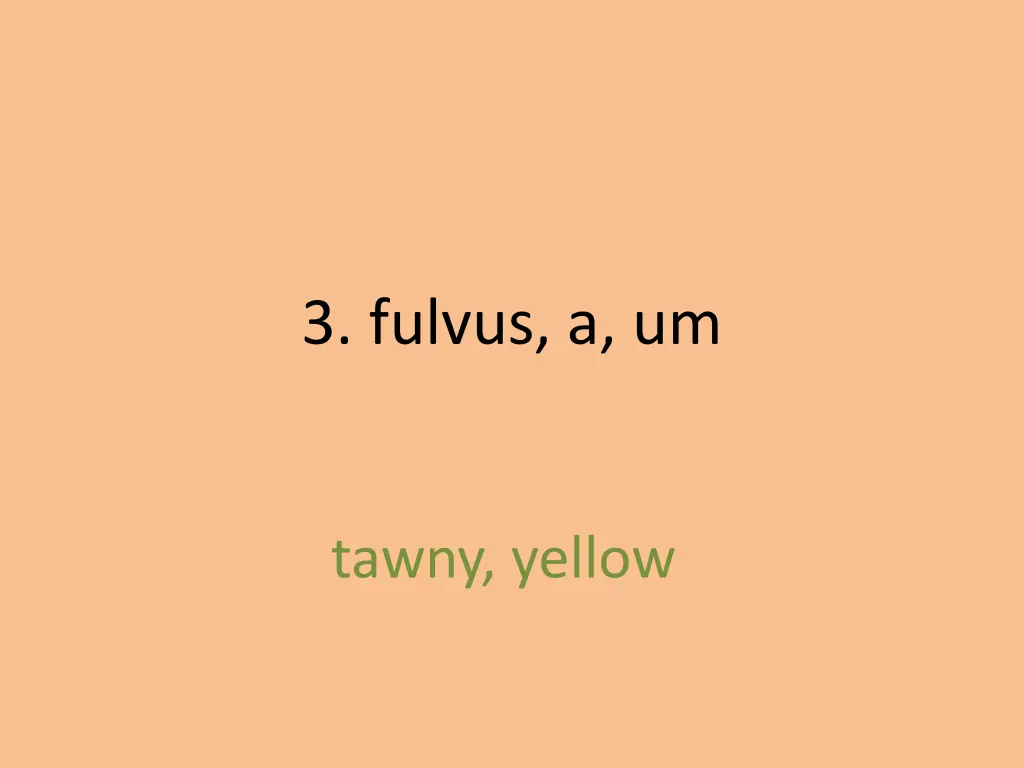 3 fulvus a um 1