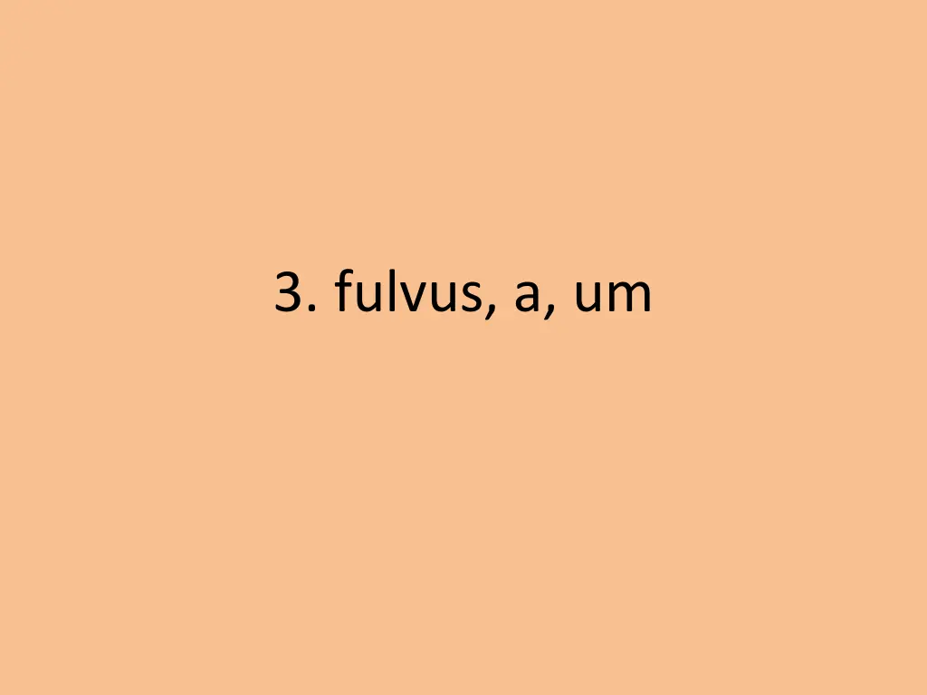 3 fulvus a um