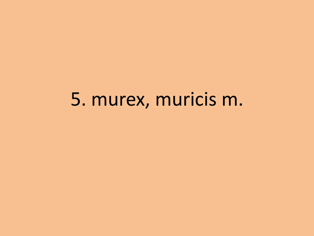 5 murex muricis m
