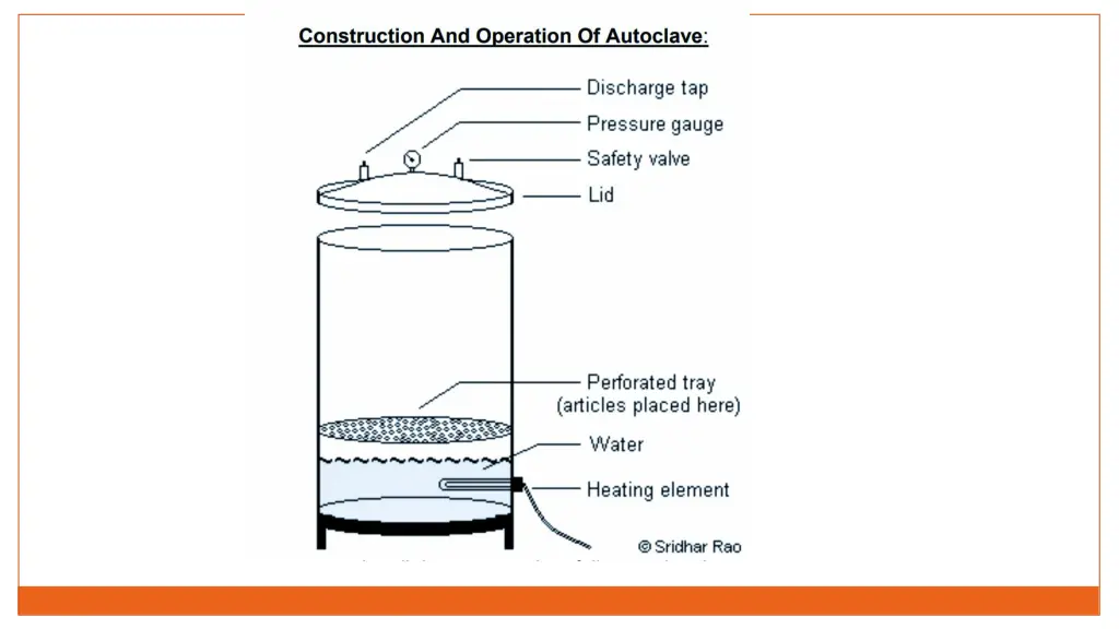 slide19