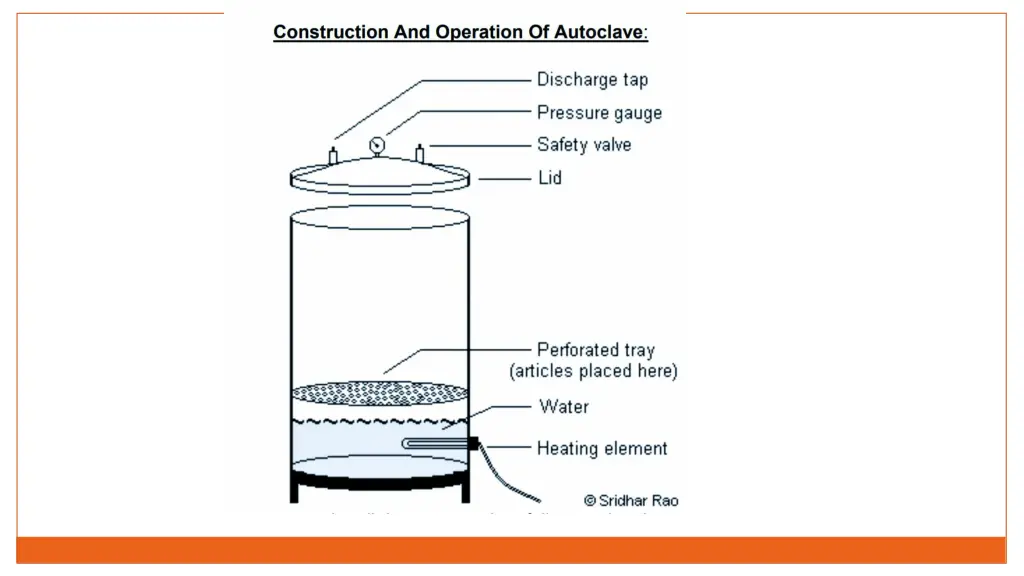 slide19