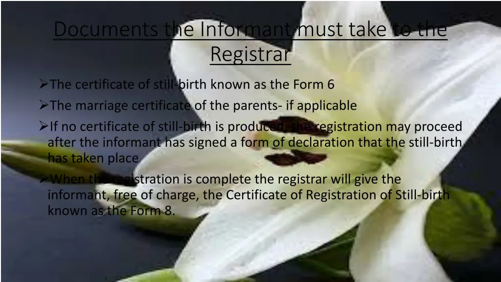 documents the informant must take to the registrar