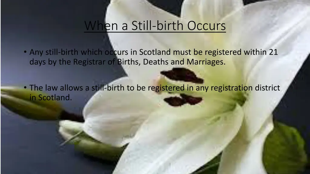 when a still birth occurs