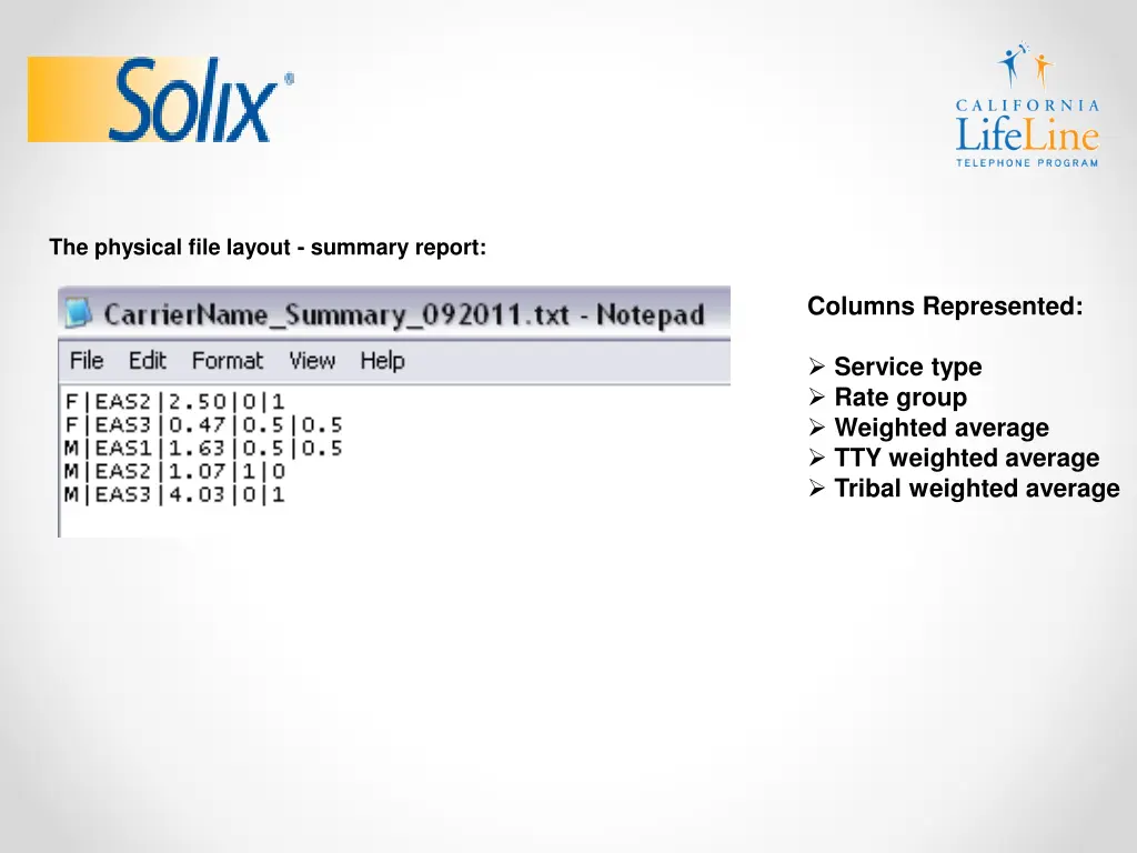 the physical file layout summary report