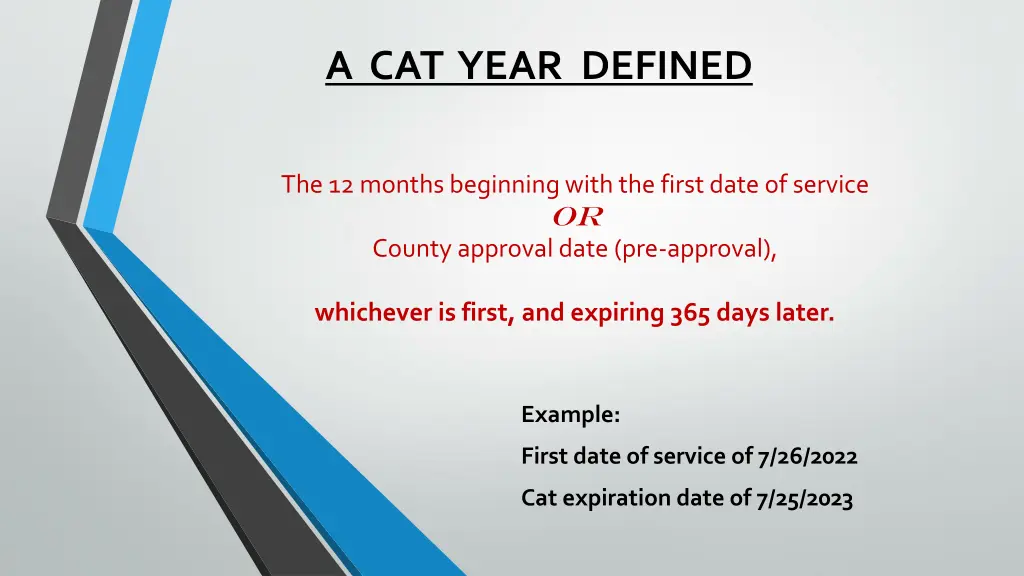 a cat year defined