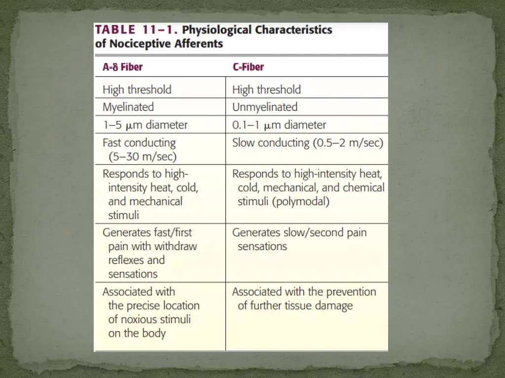 slide11