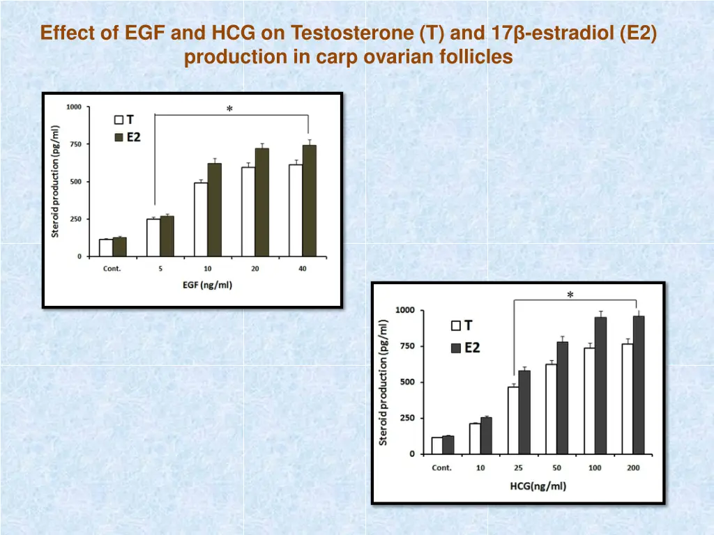 effect of egf and hcg on testosterone