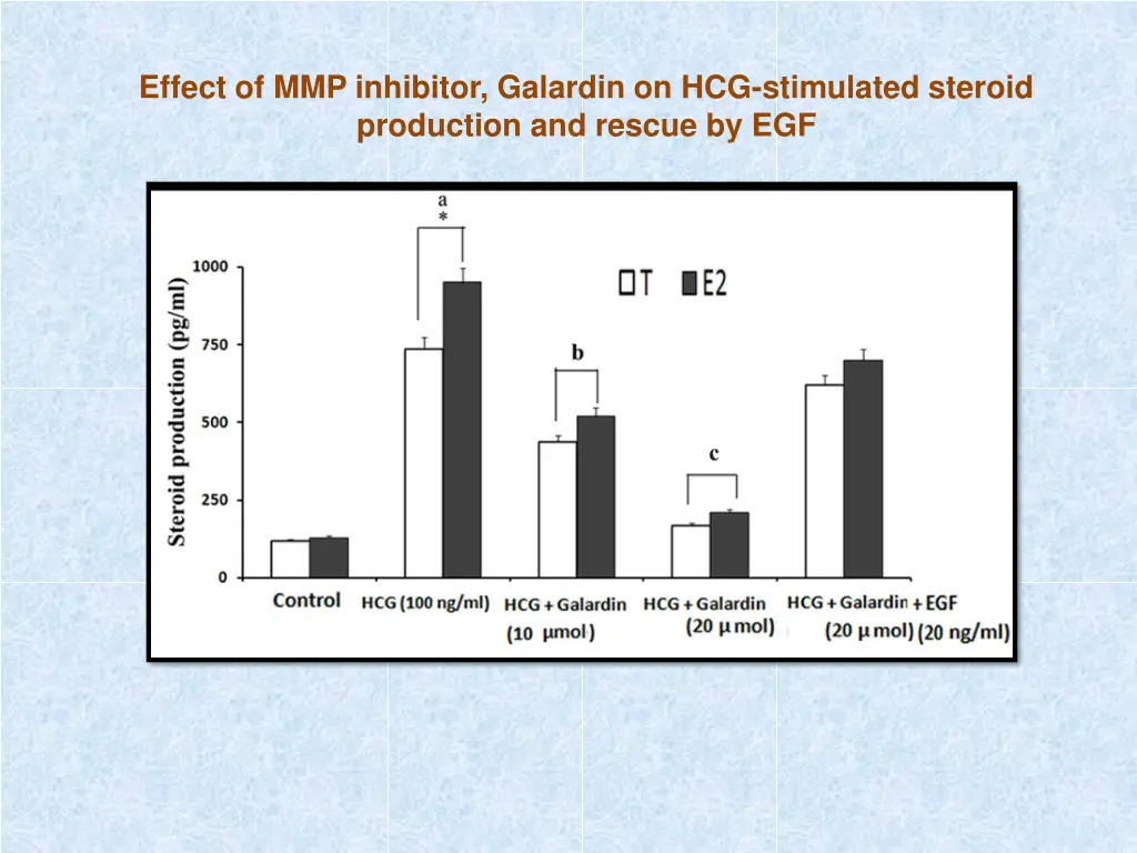 effect of mmp inhibitor galardin