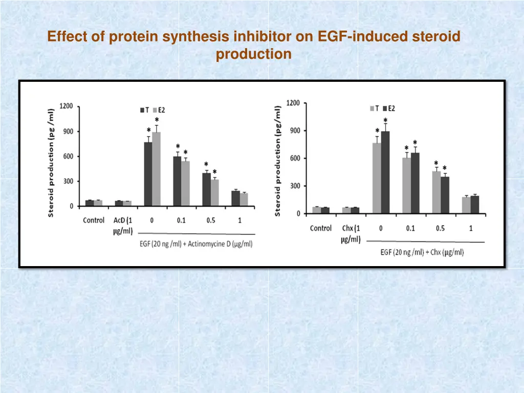 effect of protein synthesis inhibitor