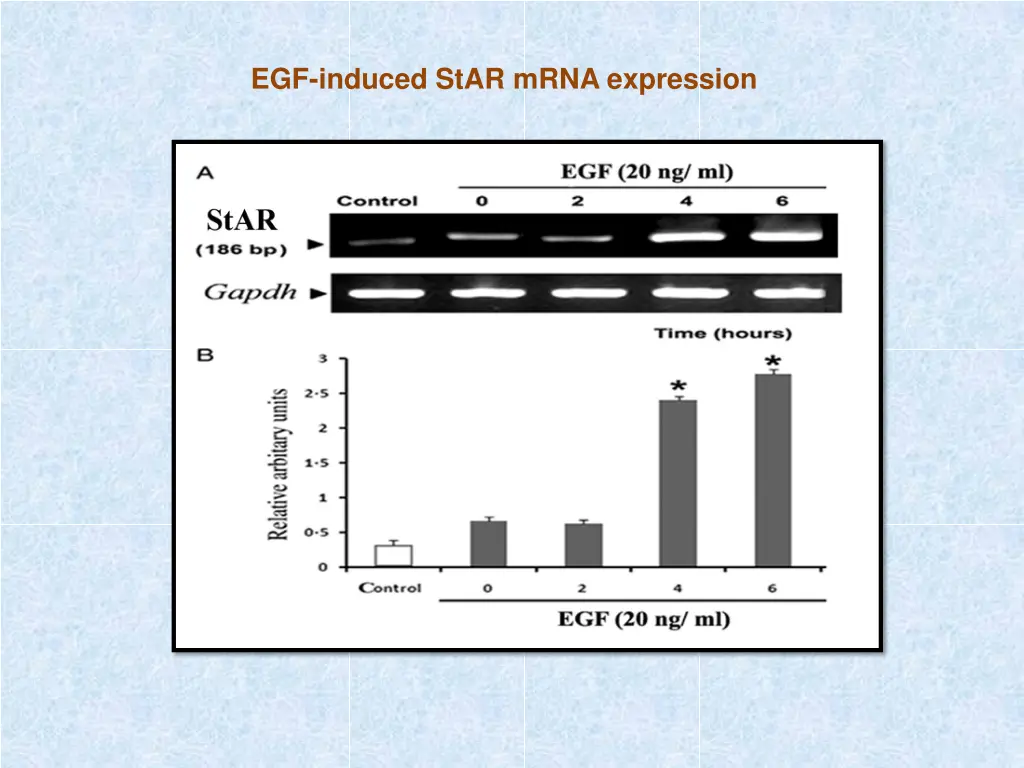 egf induced star mrna expression