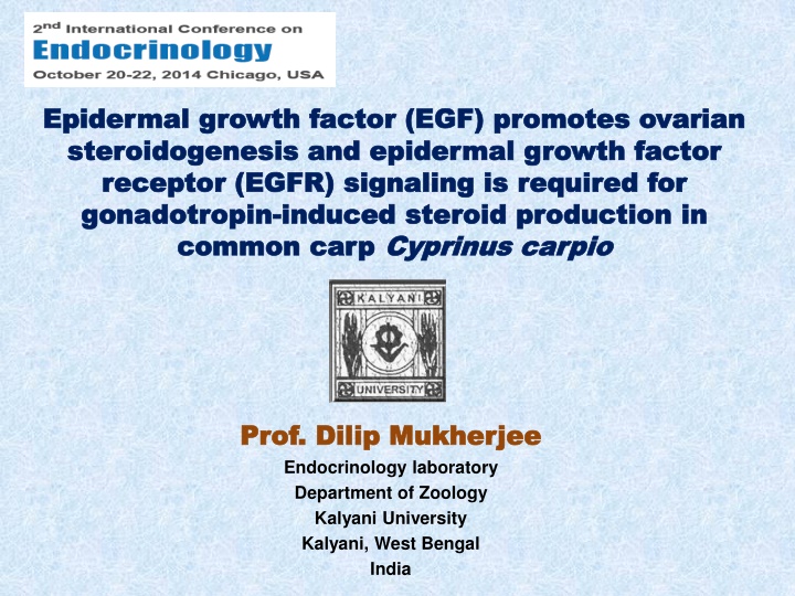 epidermal growth factor egf promotes ovarian