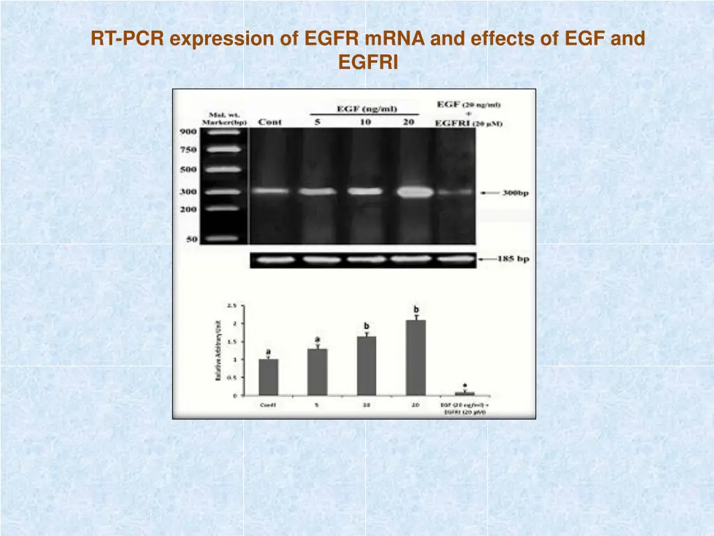 rt pcr expression of egfr mrna and effects