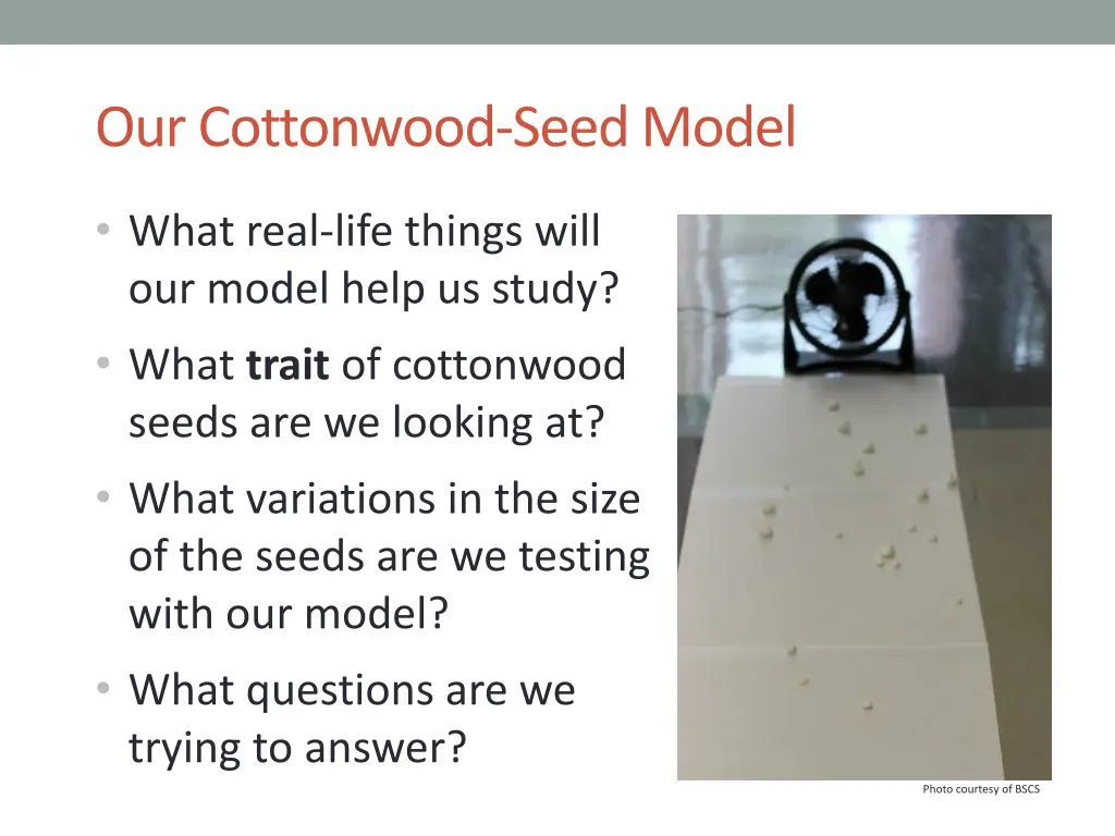 our cottonwood seed model 1