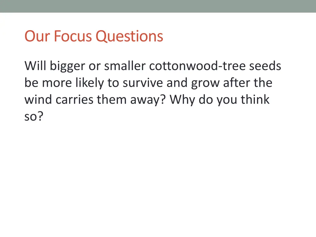 our focus questions