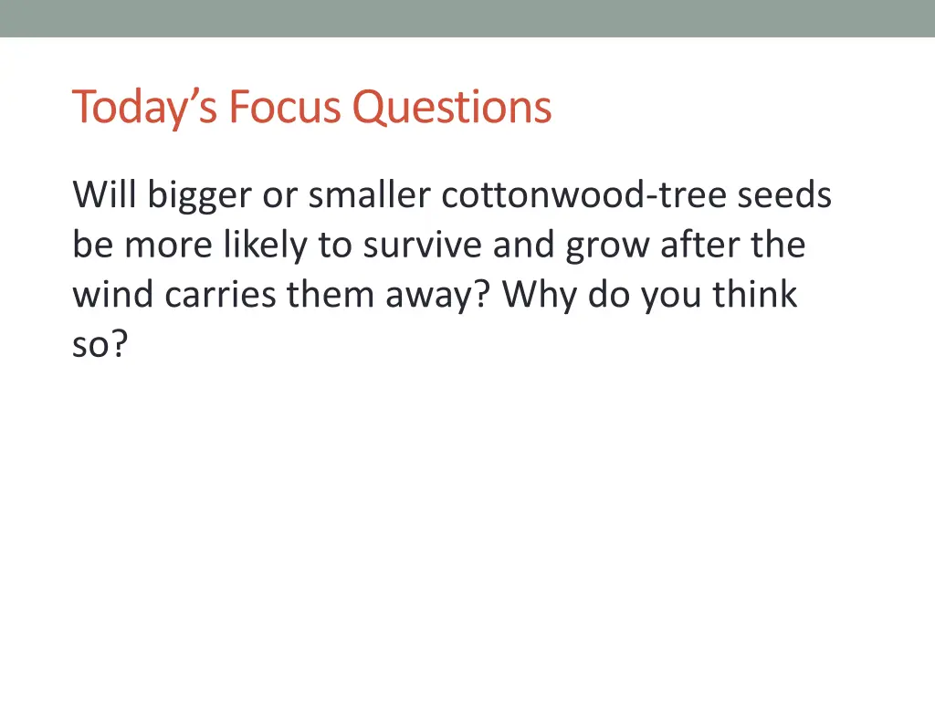 today s focus questions