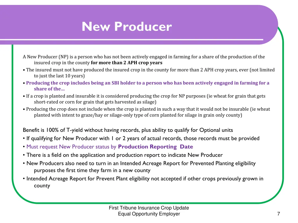 new producer