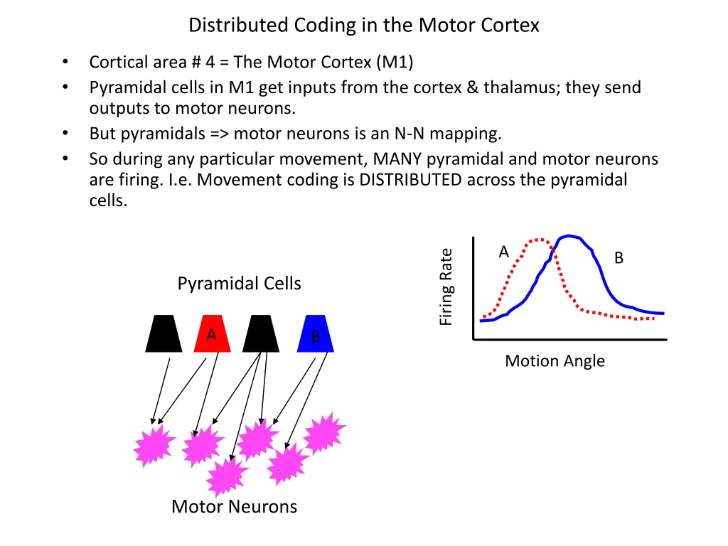 distributed coding in the motor cortex