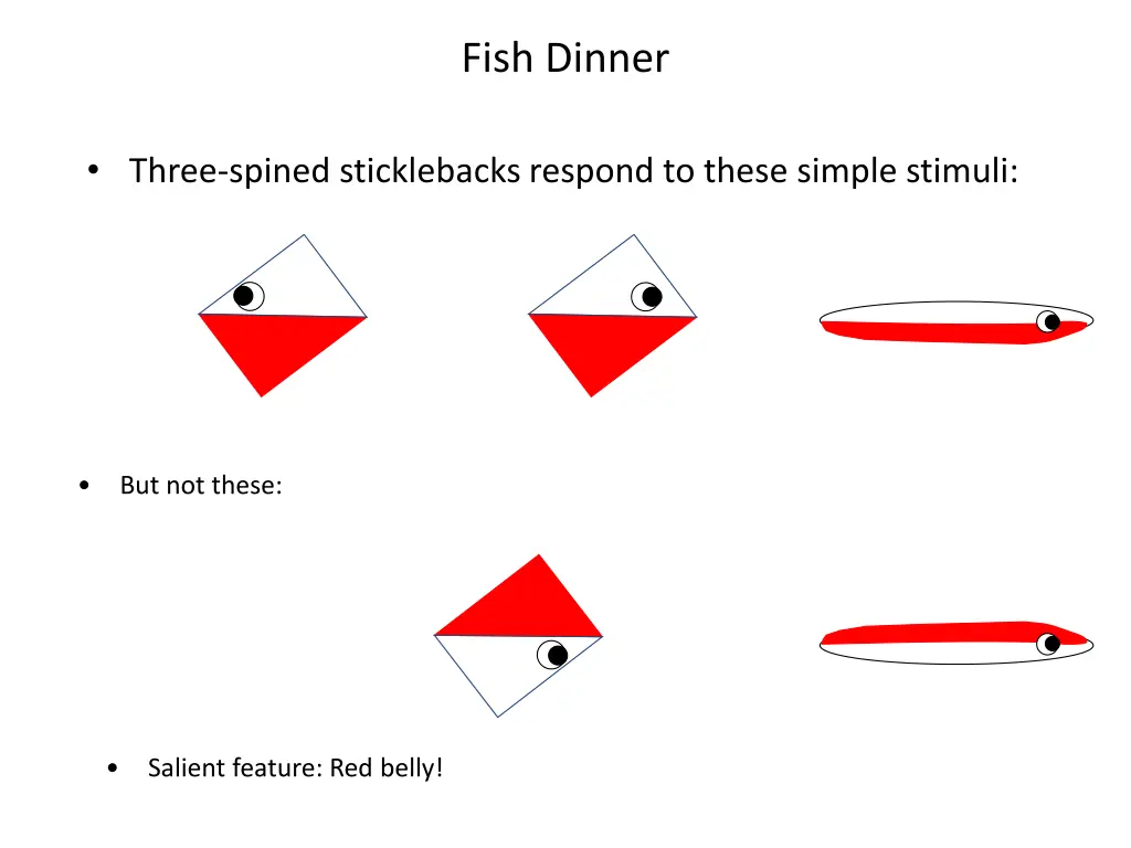 fish dinner