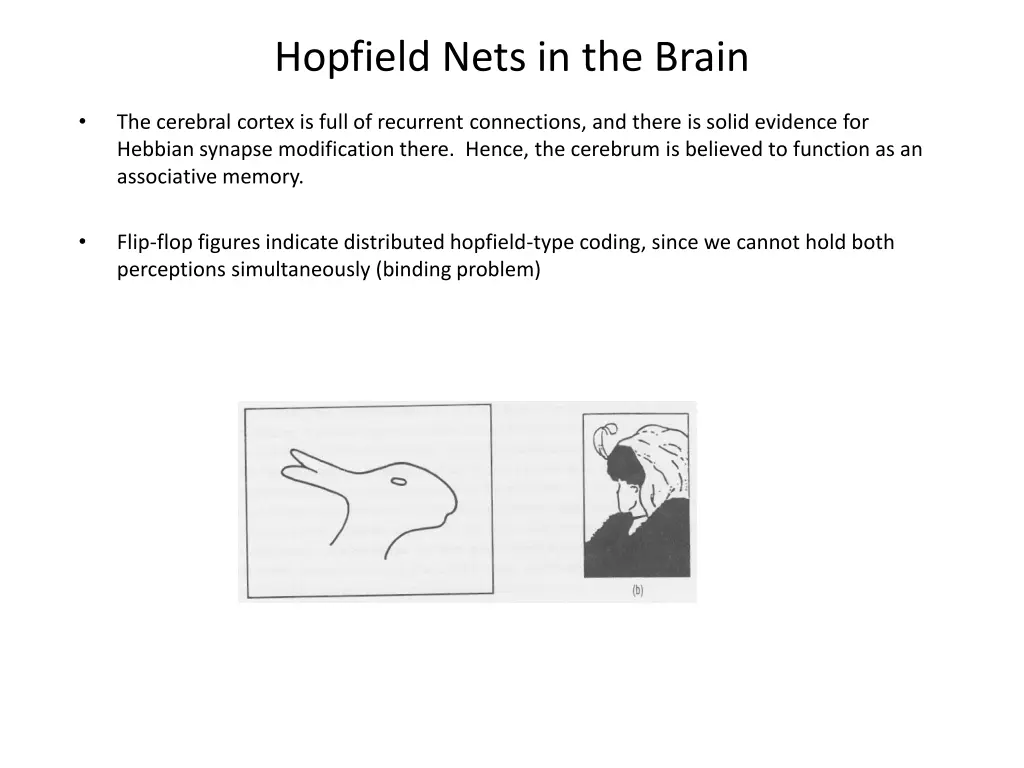 hopfield nets in the brain