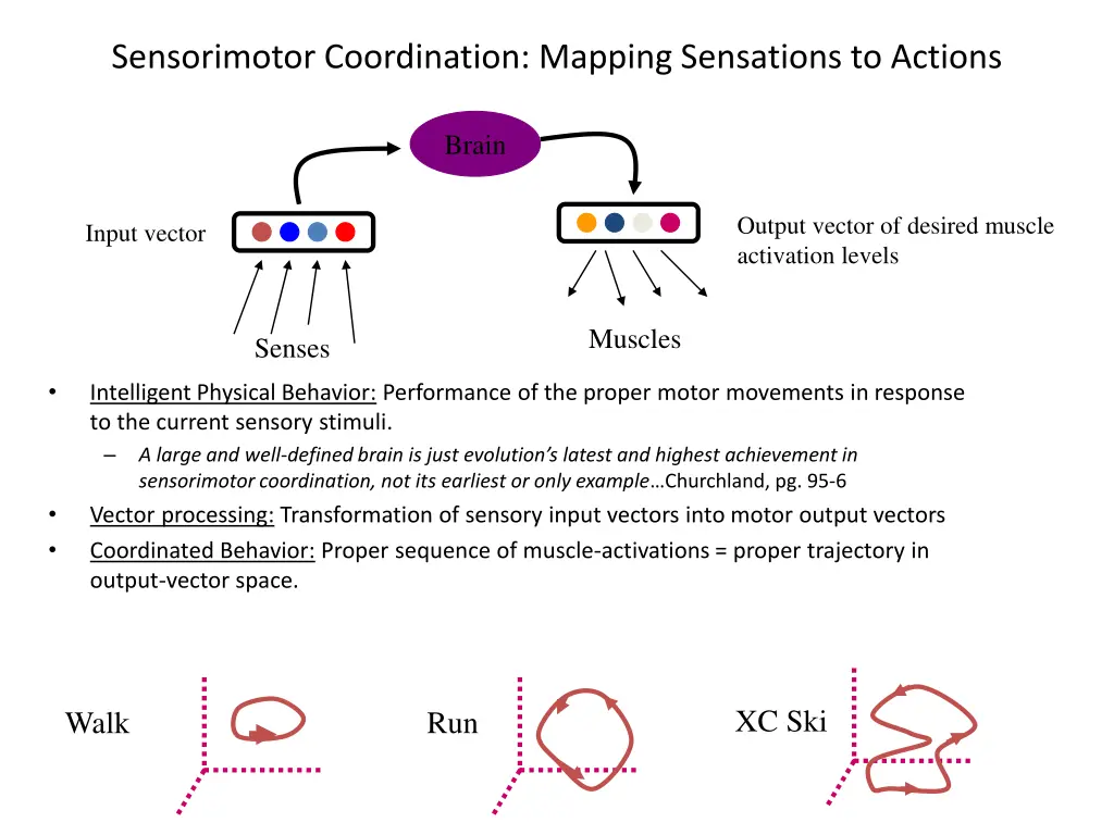sensorimotor coordination mapping sensations