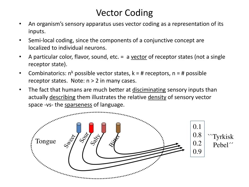 vector coding