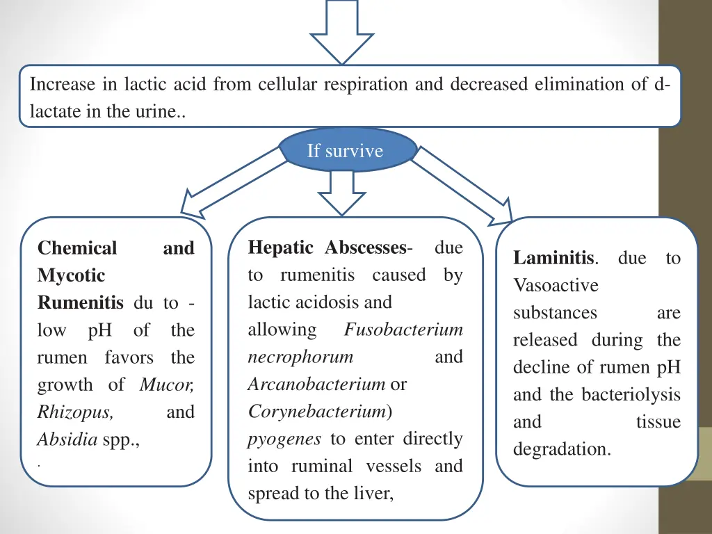 increase in lactic acid from cellular respiration