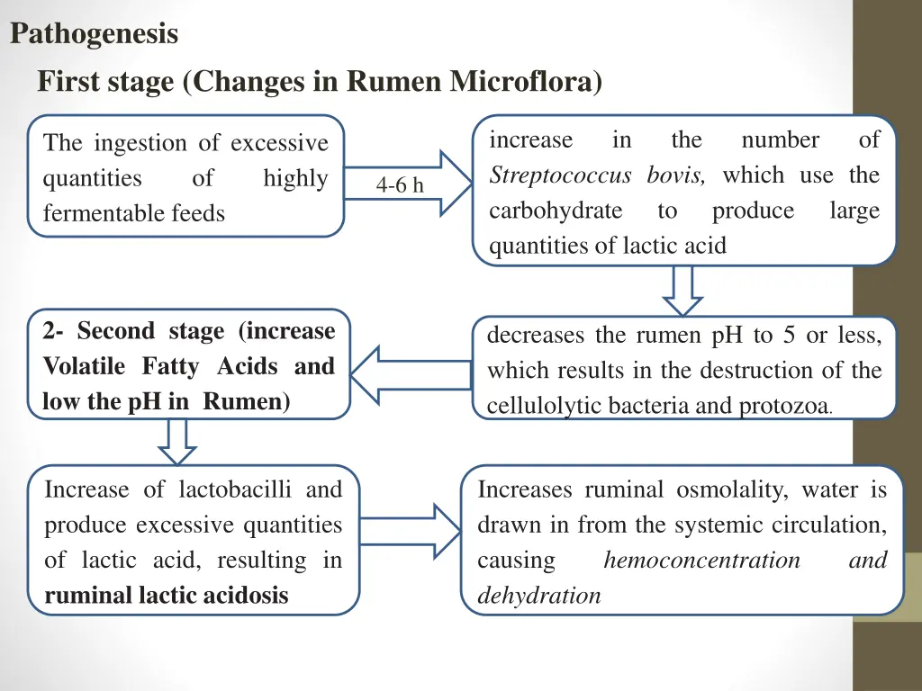 pathogenesis first stage changes in rumen