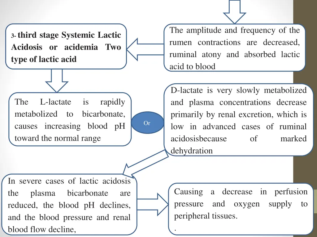 the amplitude and frequency of the rumen