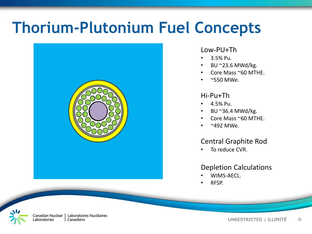 thorium plutonium fuel concepts