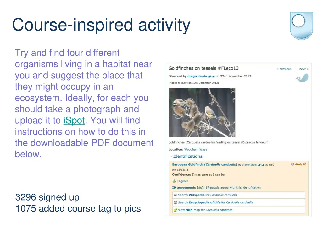 course inspired activity