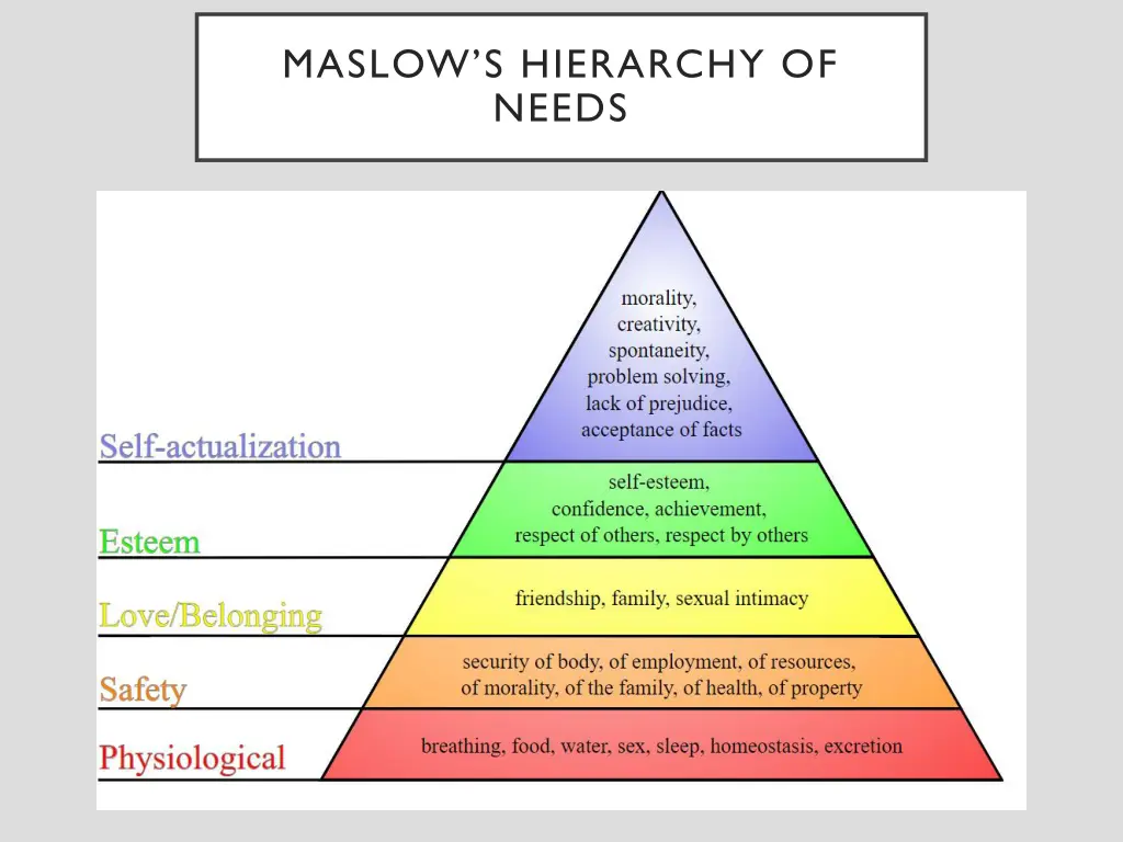 maslow s hierarchy of needs