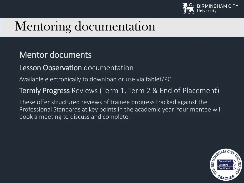 mentoring documentation 2