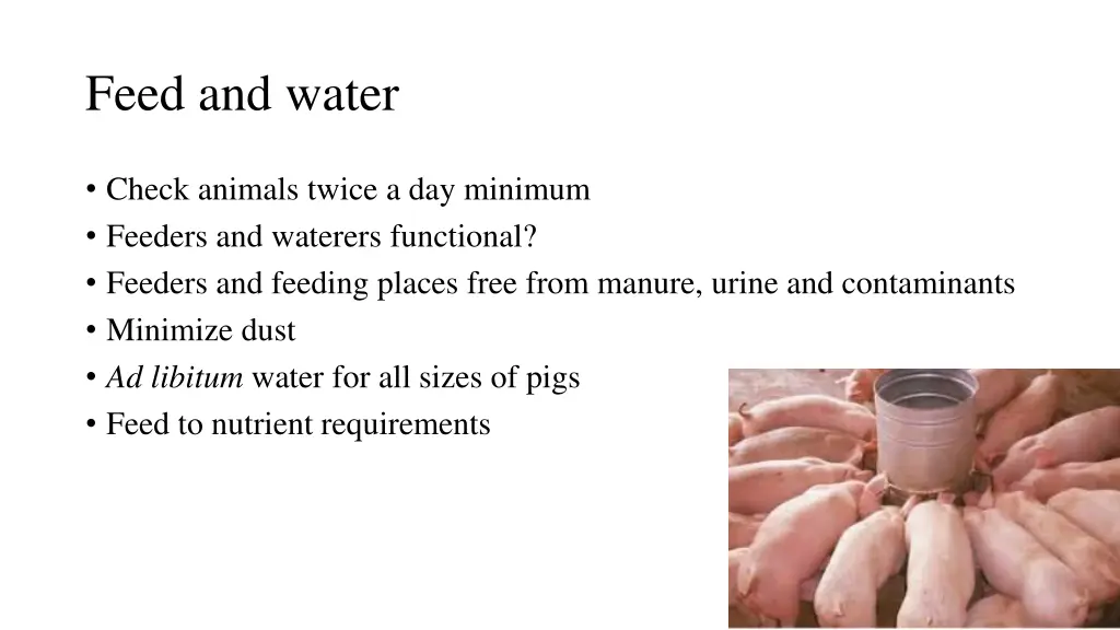 feed and water